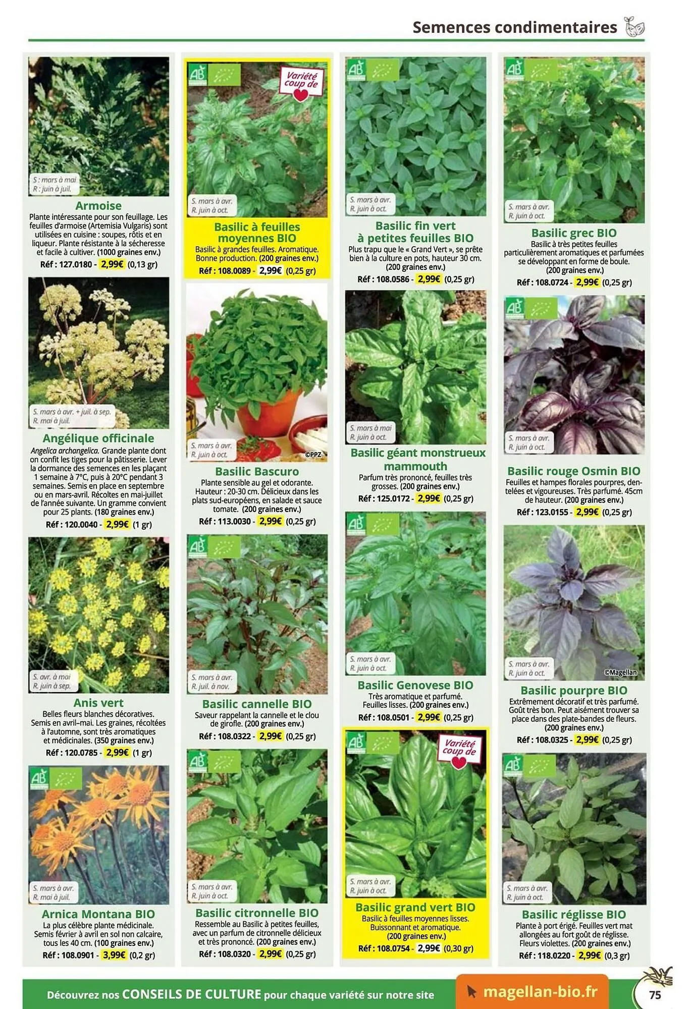 Catalogue Magellan du 16 décembre au 31 décembre 2025 - Catalogue page 75