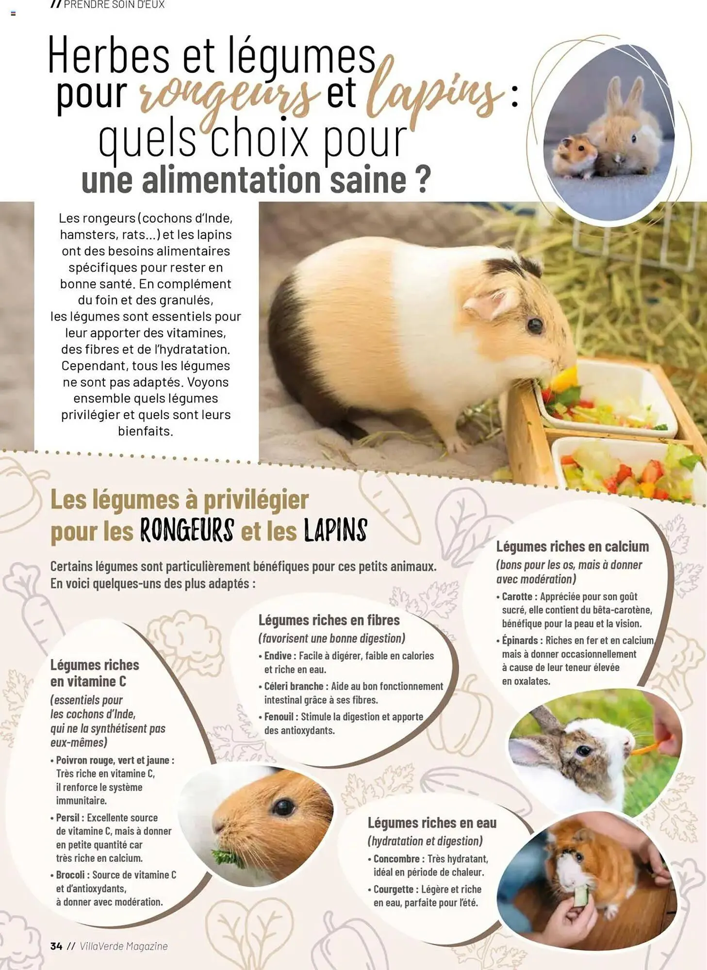 Catalogue VillaVerde du 20 mai au 1 janvier 2026 - Catalogue page 138