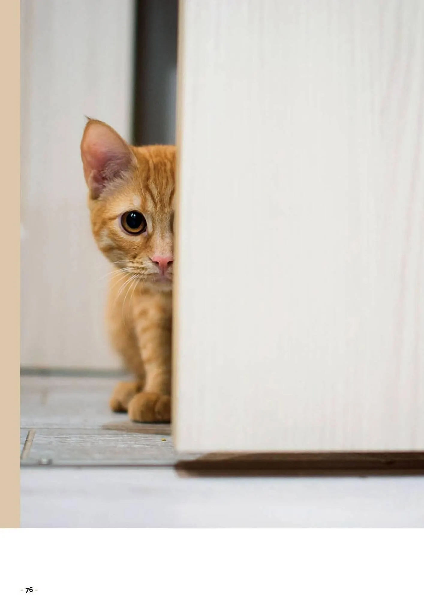 Catalogue Doras du 8 octobre au 31 décembre 2026 - Catalogue page 76