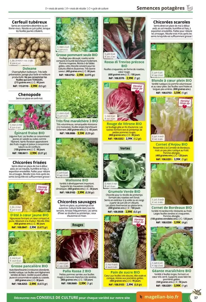 Catalogue Général 2025 du 16 décembre au 31 décembre 2025 - Catalogue page 37