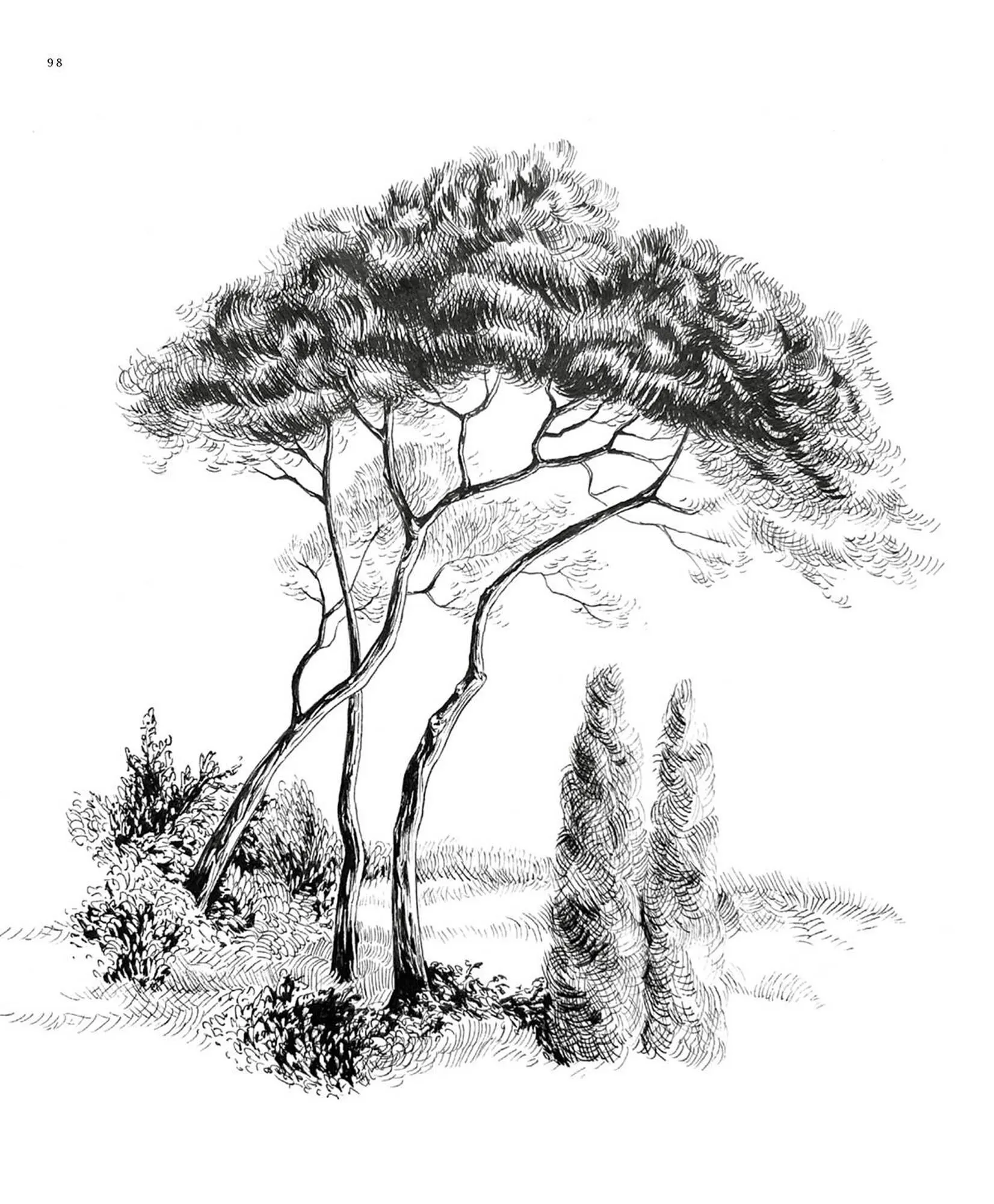 Catalogue Fragonard du 1 octobre au 20 mars 2026 - Catalogue page 100