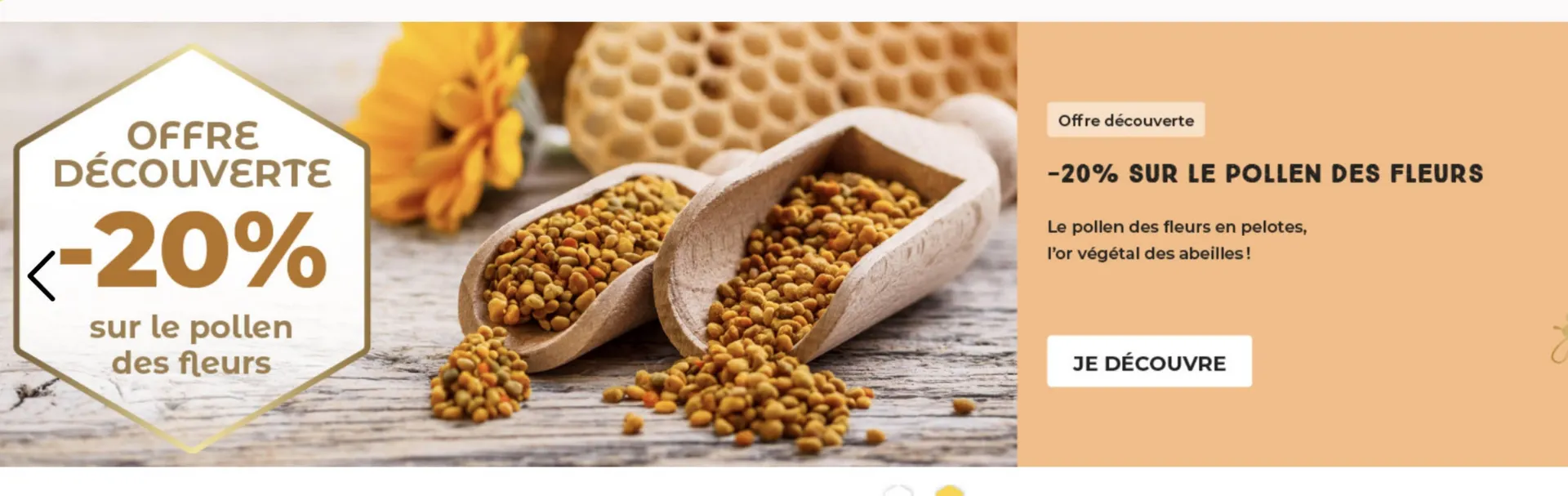 Catalogue Famille Mary - 1