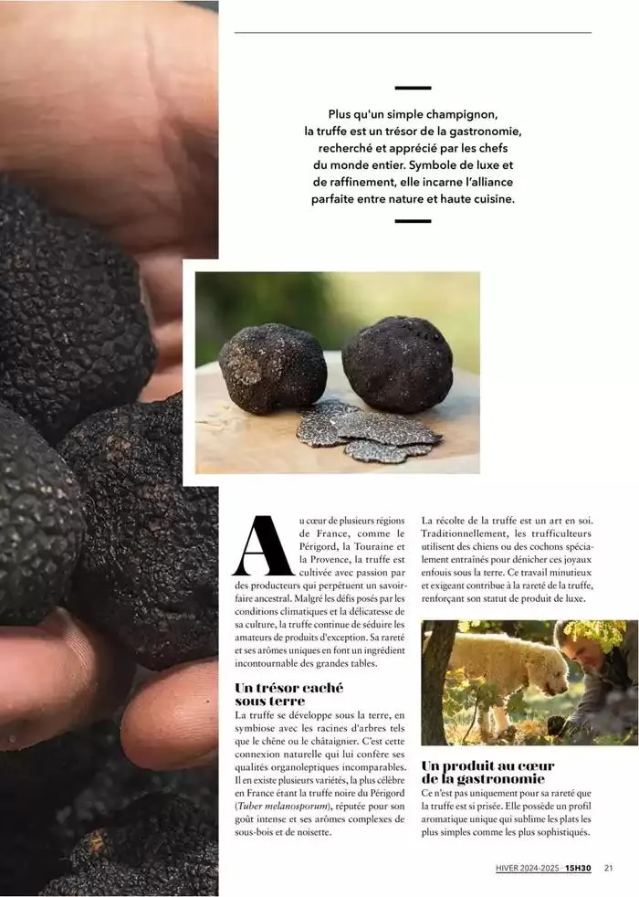 Metro Magazine 15h30 N°12 du 16 décembre au 30 avril 2025 - Catalogue page 13