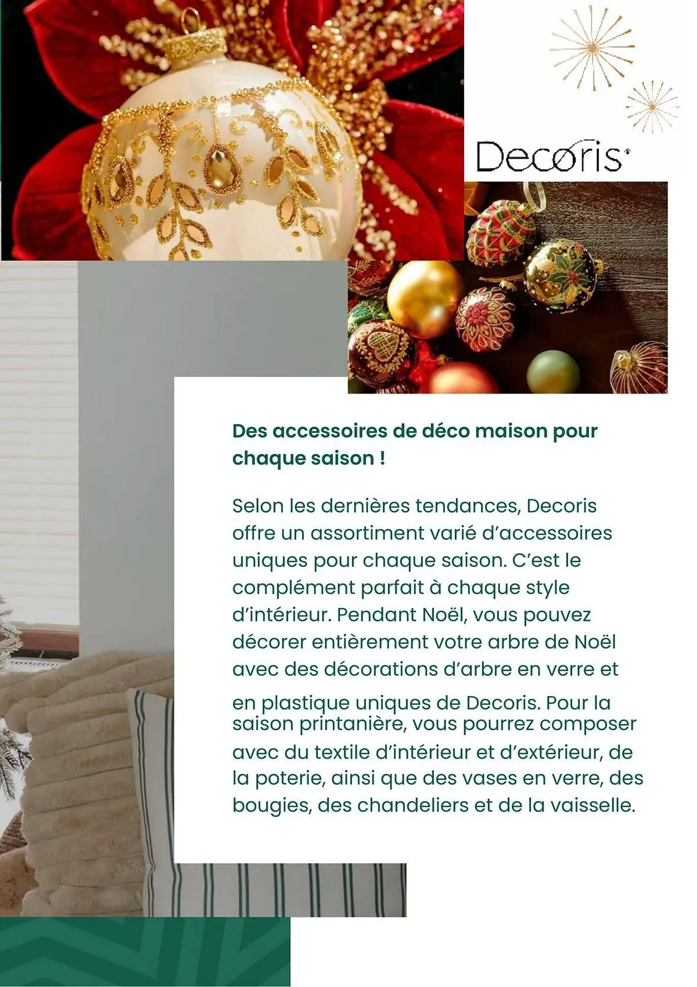 Catalogue Truffaut du 2 décembre au 31 décembre 2025 - Catalogue page 12