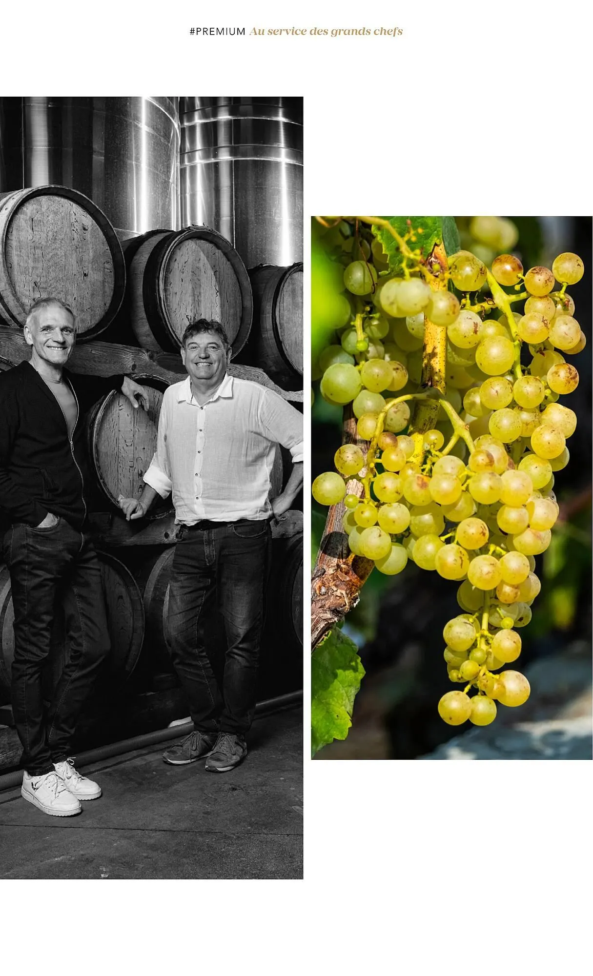 Catalogue METRO du 1 juillet au 31 décembre 2025 - Catalogue page 66