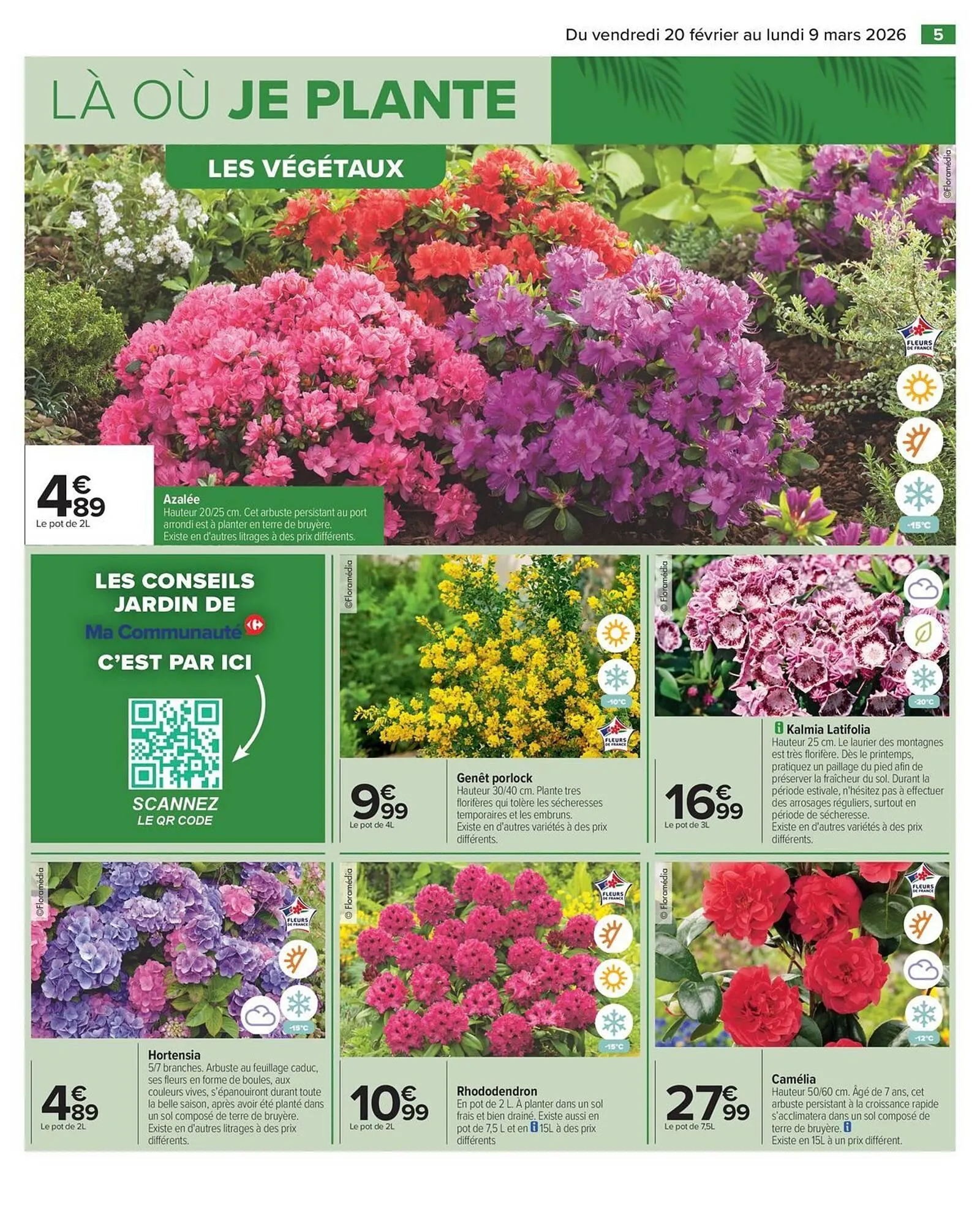 Catalogue Carrefour du 20 février au 9 mars 2026 - Catalogue page 7
