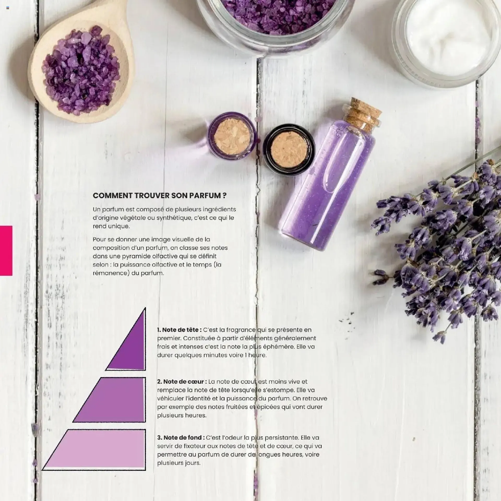 Catalogue Texam du 2 février au 31 décembre 2026 - Catalogue page 50