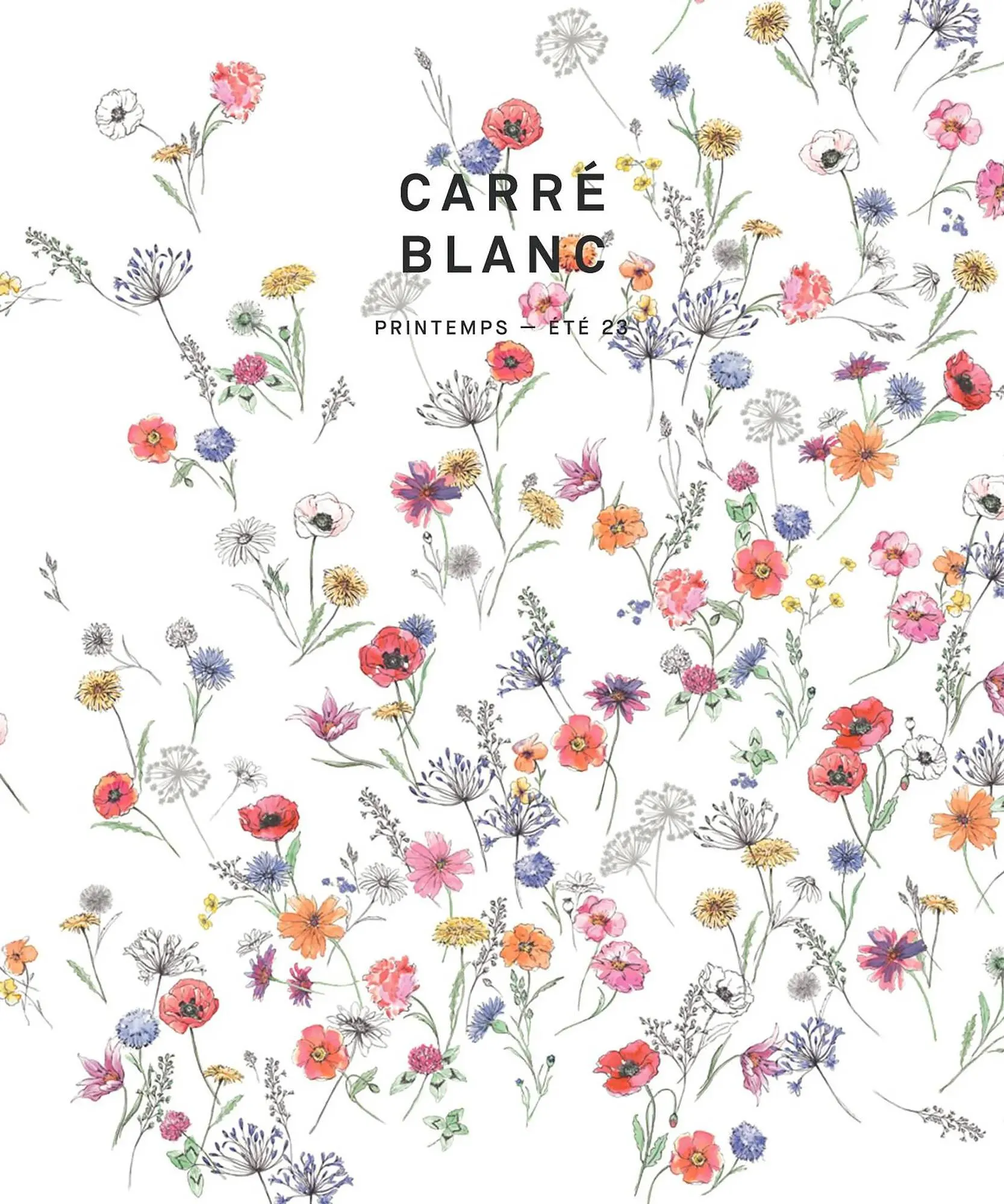 Catalogue Carré Blanc - 1