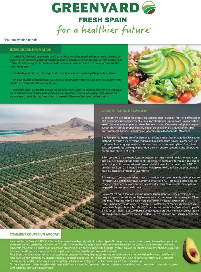 La main Verte du 12 mai au 31 décembre 2025 - Catalogue page 41