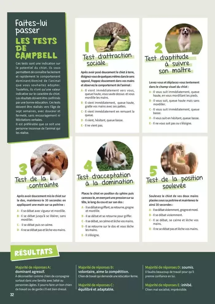 Le guide CHIENS & CHATS du 30 avril au 31 décembre 2025 - Catalogue page 32