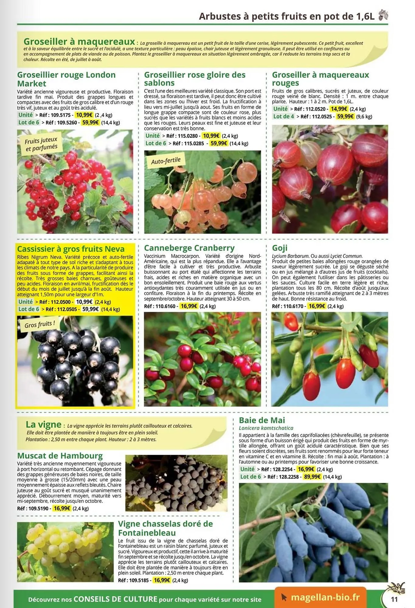 Catalogue Magellan du 1 janvier au 31 décembre 2026 - Catalogue page 11