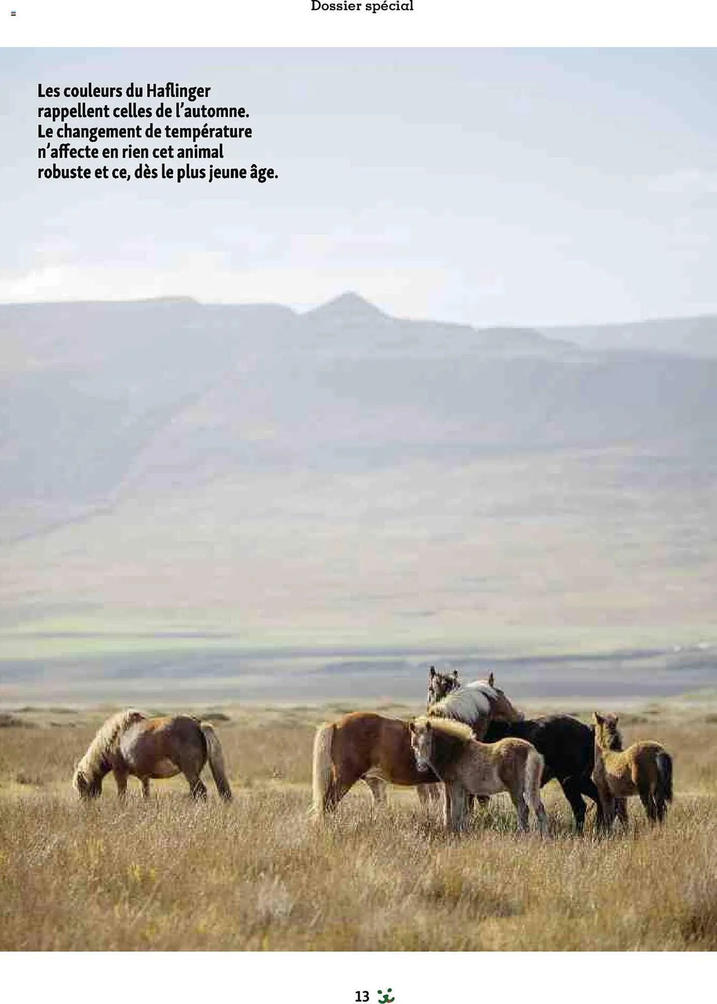 Catalogue Maxi Zoo du 1 septembre au 3 novembre 2024 - Catalogue page 13