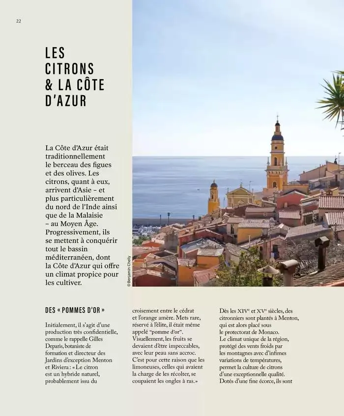 Printemps/Été 2025 du 17 mars au 23 septembre 2025 - Catalogue page 24