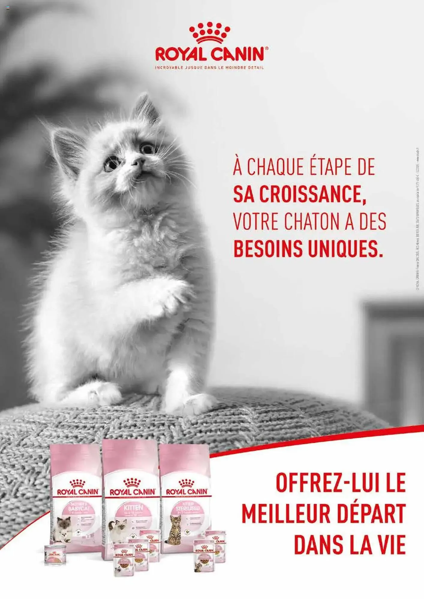 Catalogue VillaVerde du 20 mai au 1 janvier 2026 - Catalogue page 156