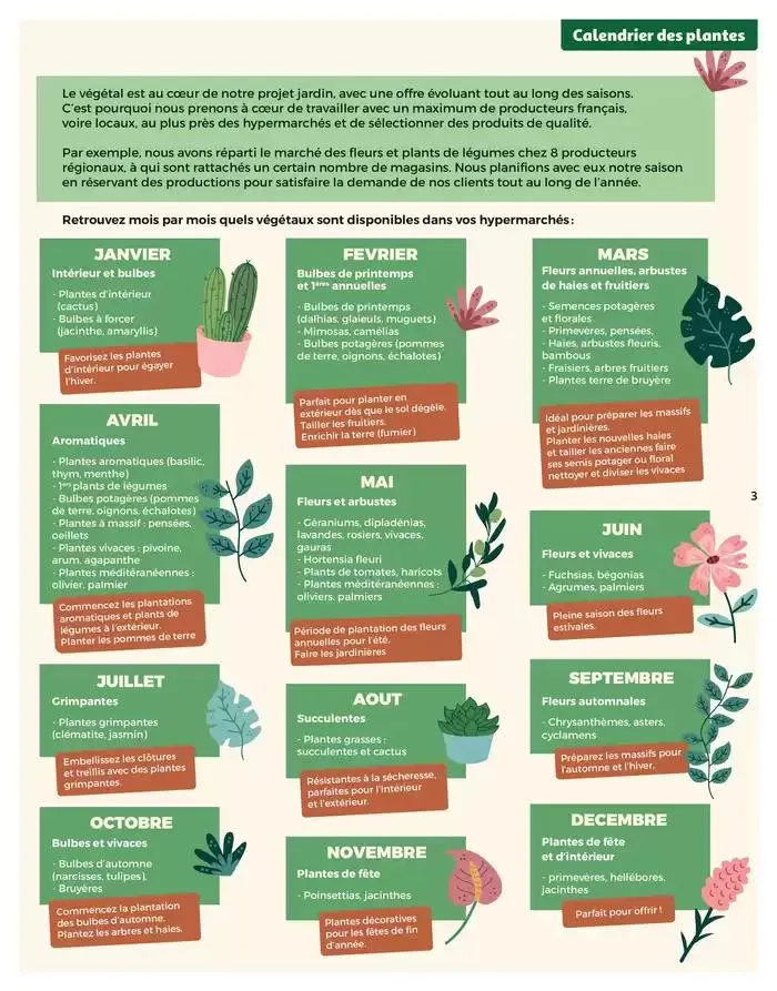 Design prix bas : le décor est planté du 4 mars au 15 juin 2025 - Catalogue page 3
