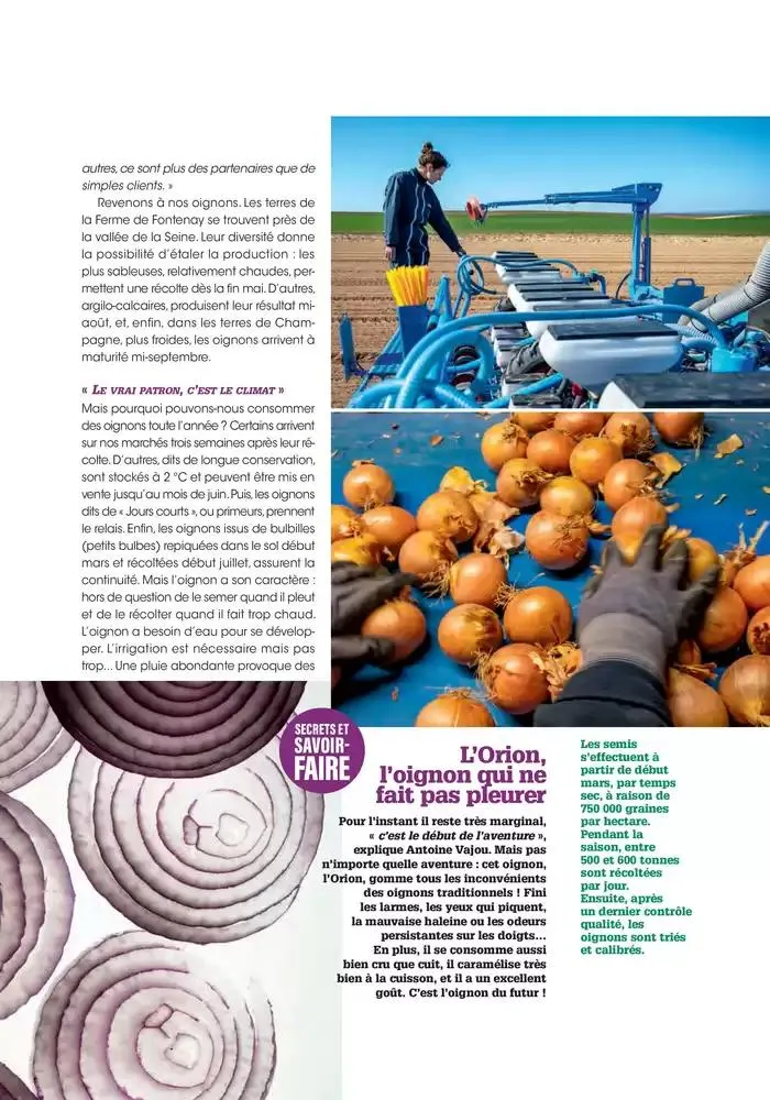 Printemps 2025 du 23 avril au 31 mai 2025 - Catalogue page 20