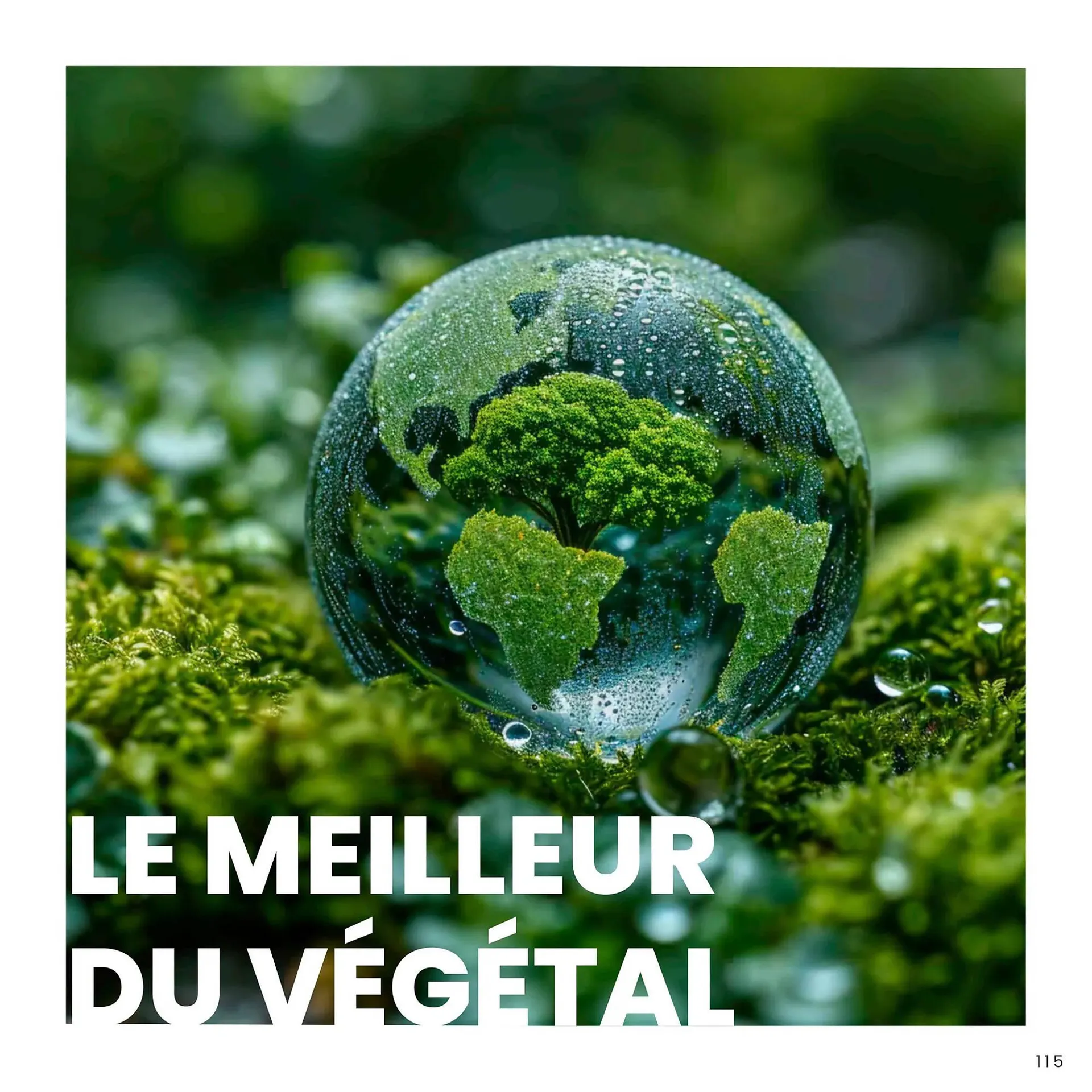 Catalogue Texam du 24 janvier au 31 décembre 2025 - Catalogue page 116