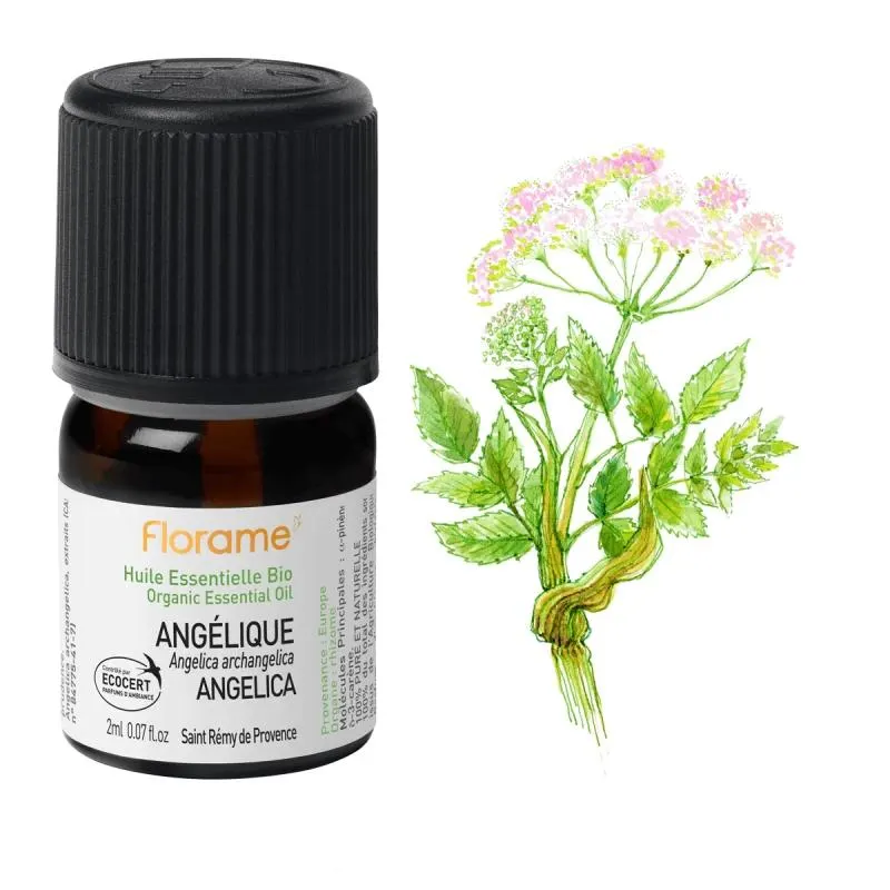 Huile Essentielle d'Angélique Biologique