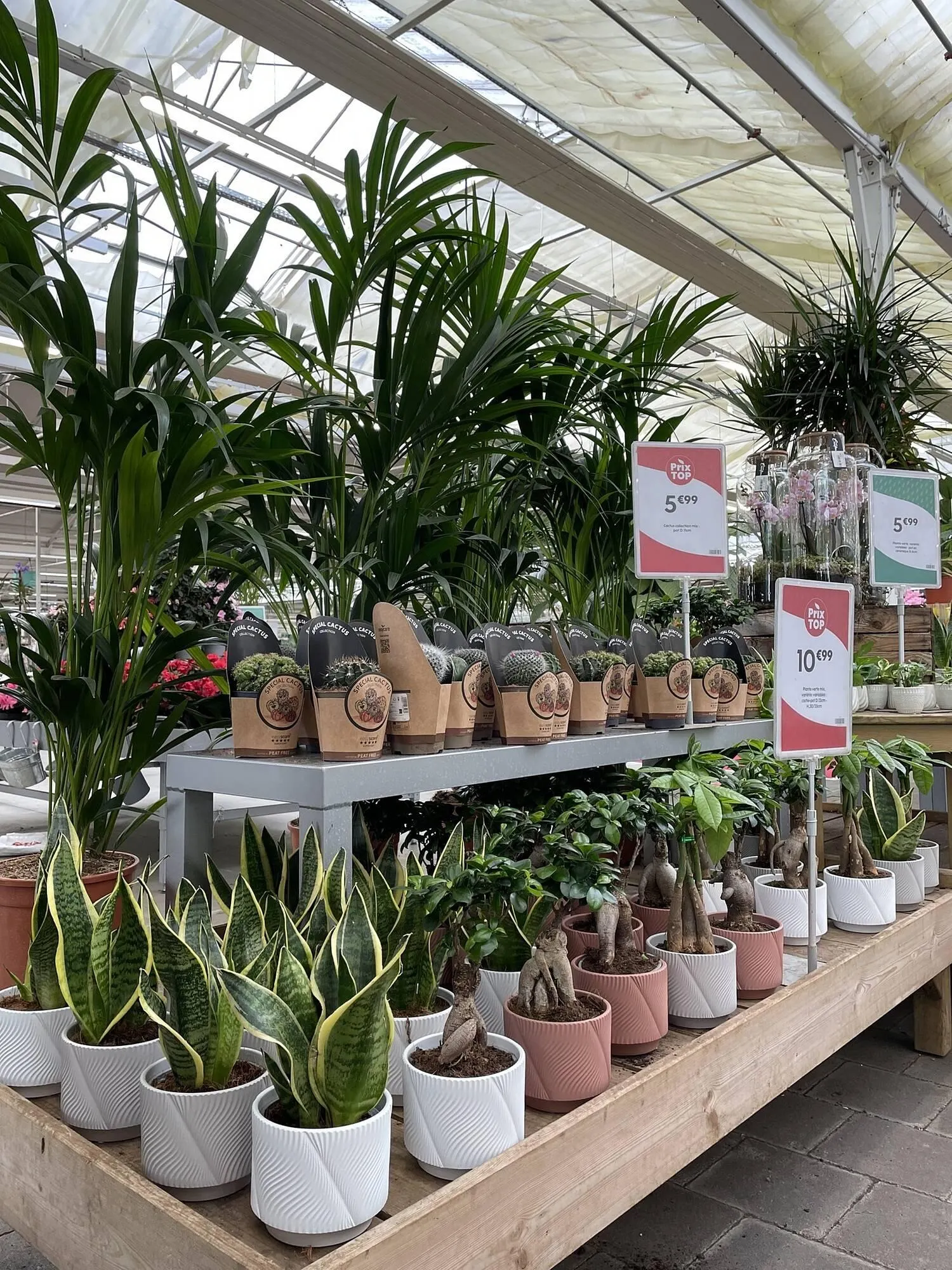 Catalogue Truffaut - 1