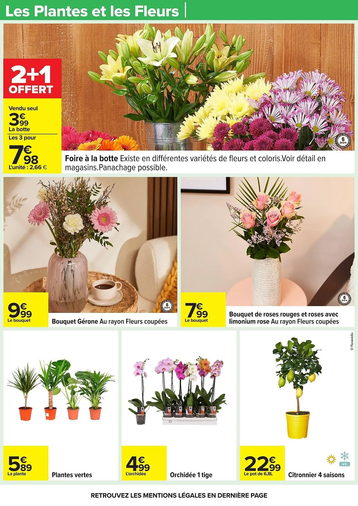 Catalogue Carrefour du 20 janvier au 2 février 2026 - Catalogue page 44