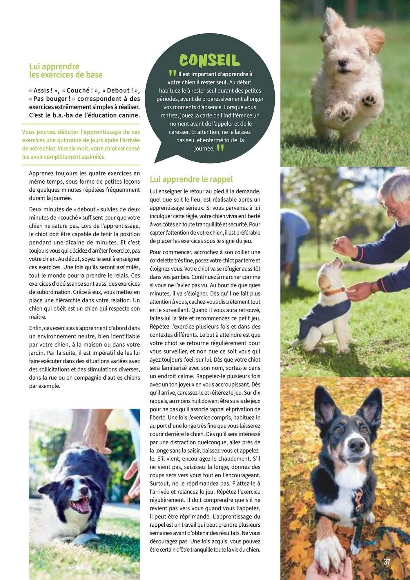 Catalogue Point Vert du 30 avril au 31 décembre 2025 - Catalogue page 37