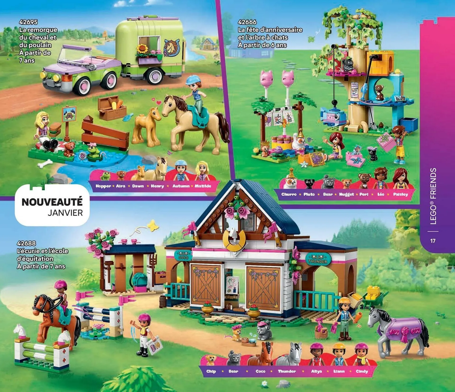 Catalogue LEGO du 9 janvier au 30 juin 2026 - Catalogue page 17