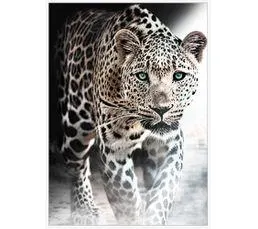Toile 48x68 cm Panthère Noir et blanc