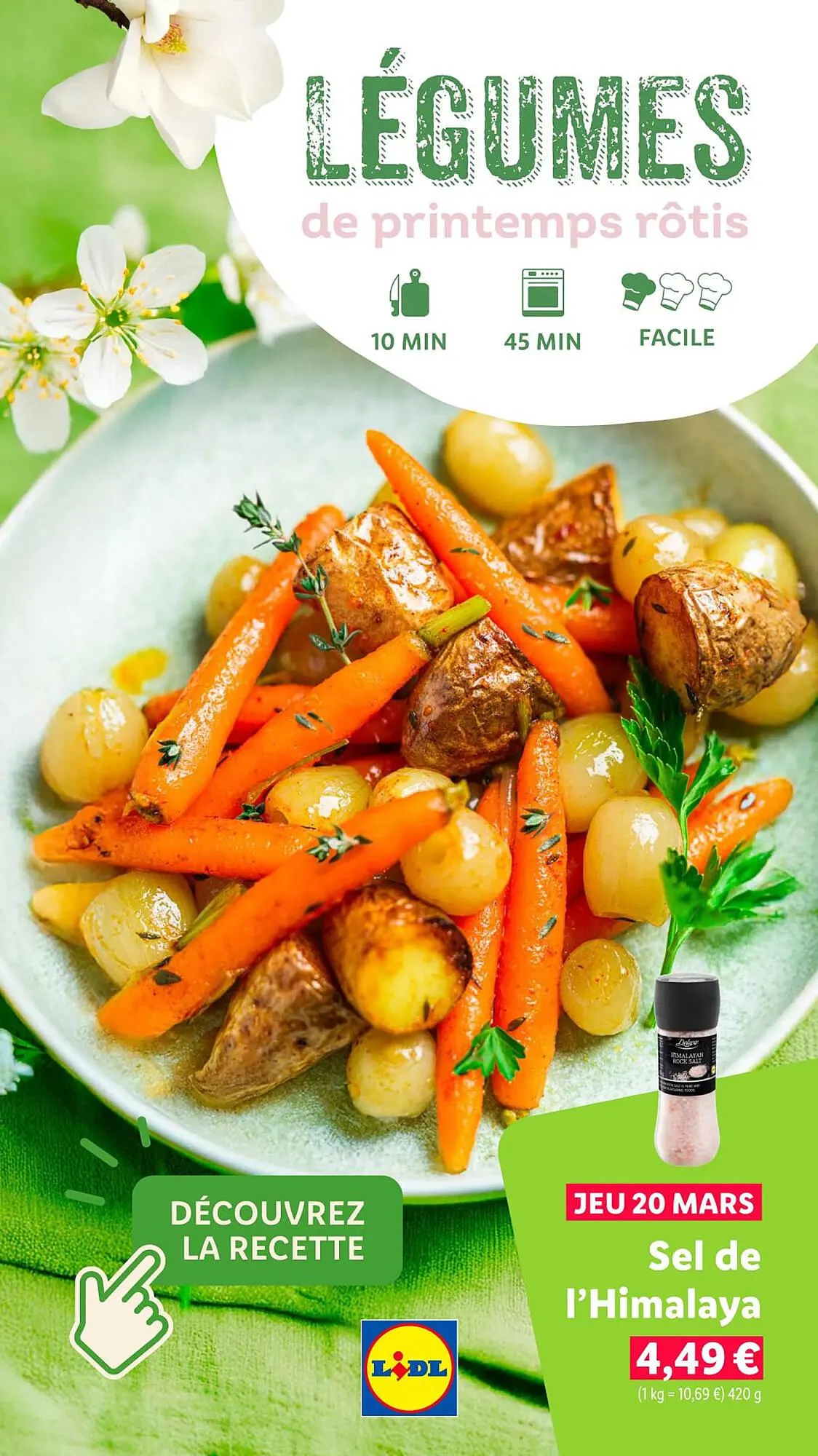 Catalogue Lidl du 13 mars au 27 avril 2025 - Catalogue page 14