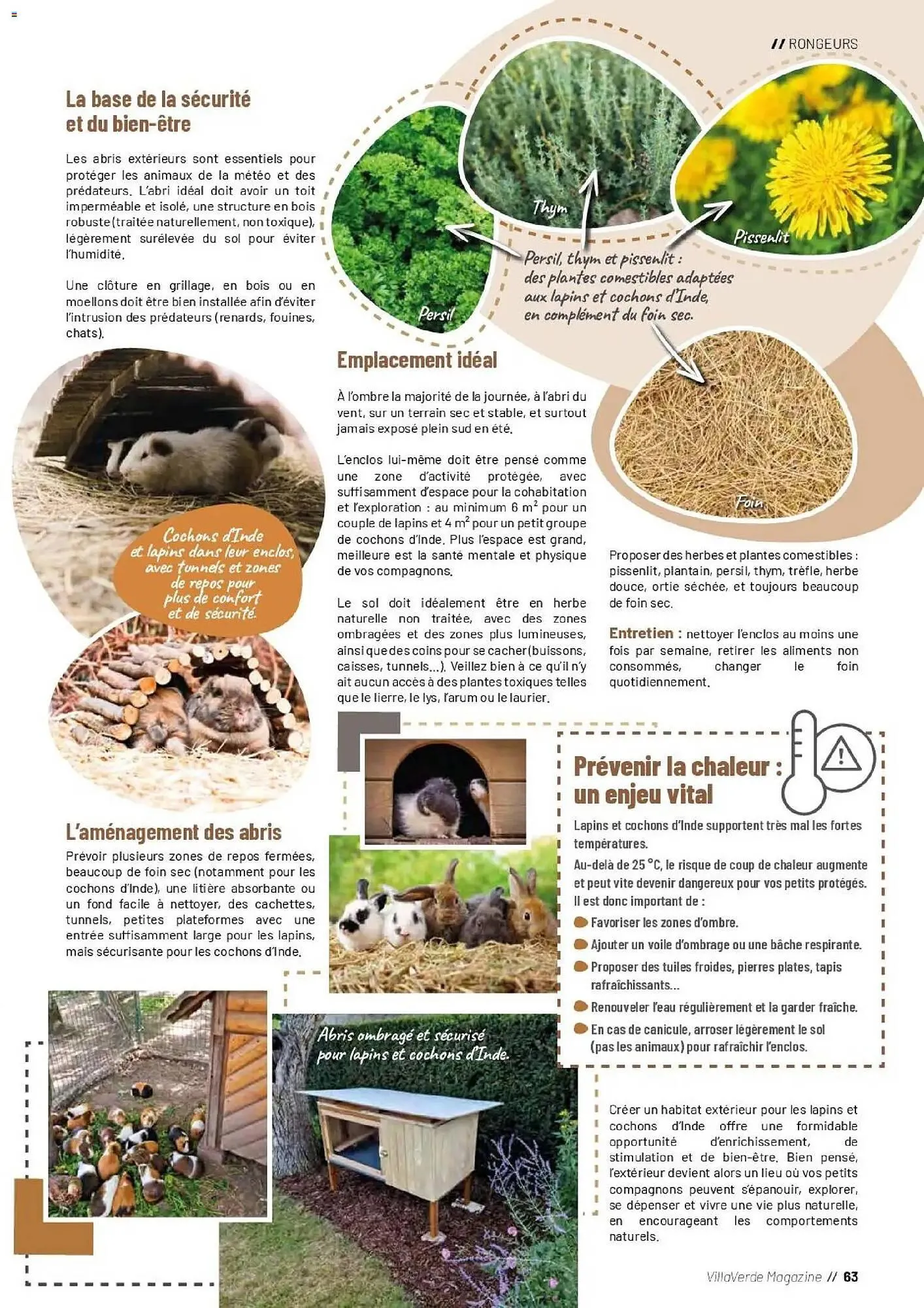 Catalogue VillaVerde du 1 avril au 30 septembre 2026 - Catalogue page 63