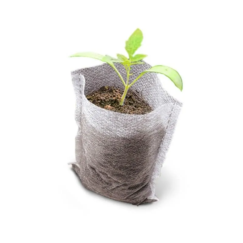 Sacs à semis pour repiquage facile - Lot de 500
