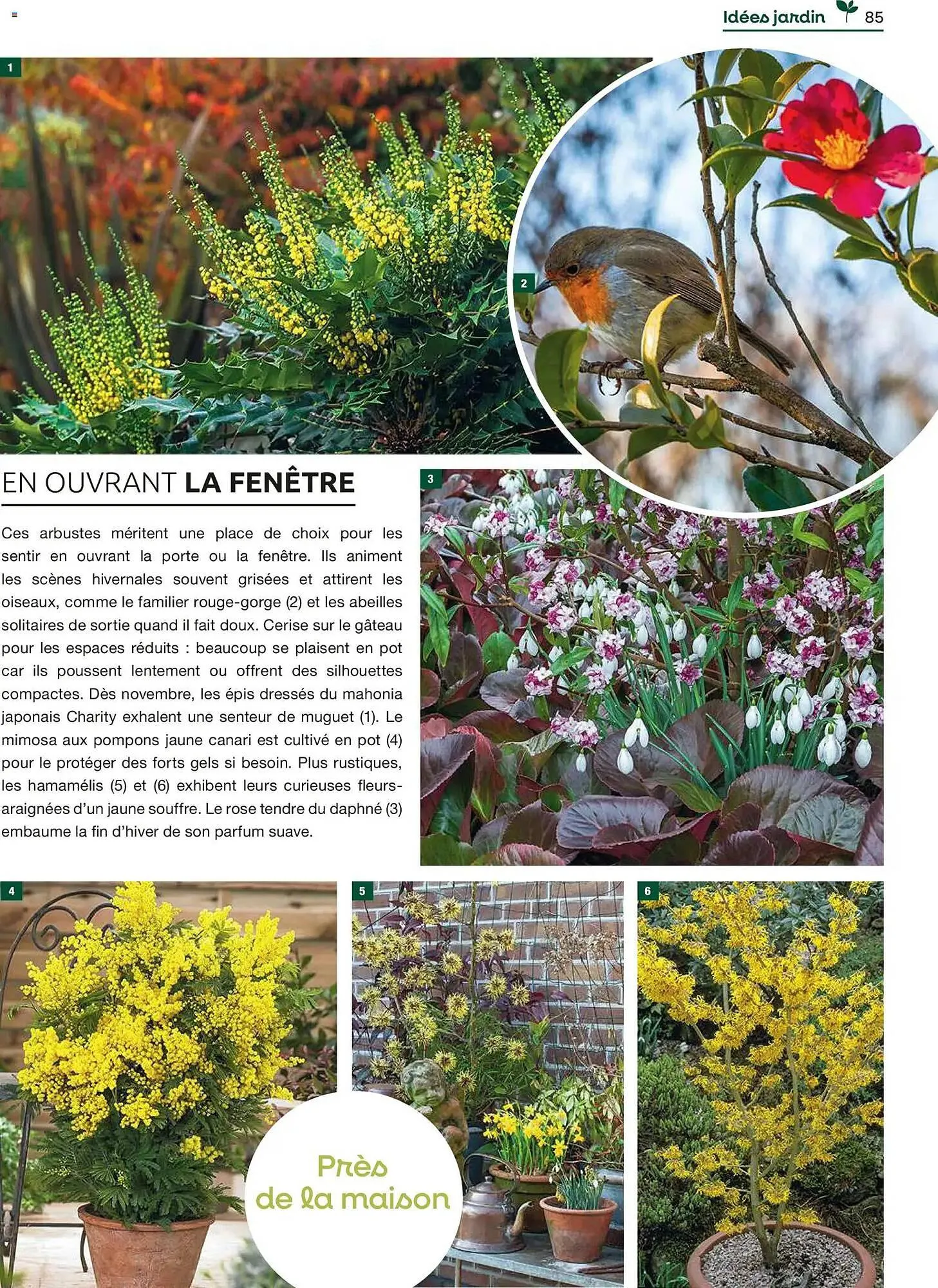 Catalogue Mr Bricolage du 1 décembre au 31 décembre 2025 - Catalogue page 85