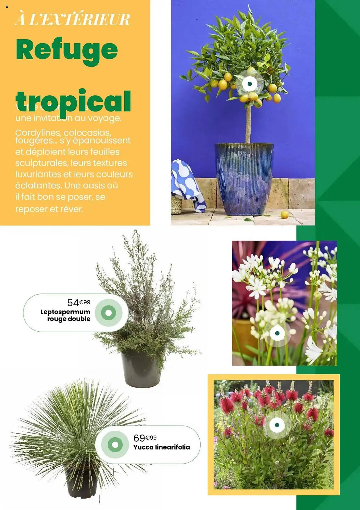 Catalogue Truffaut du 7 mai au 31 juillet 2025 - Catalogue page 8