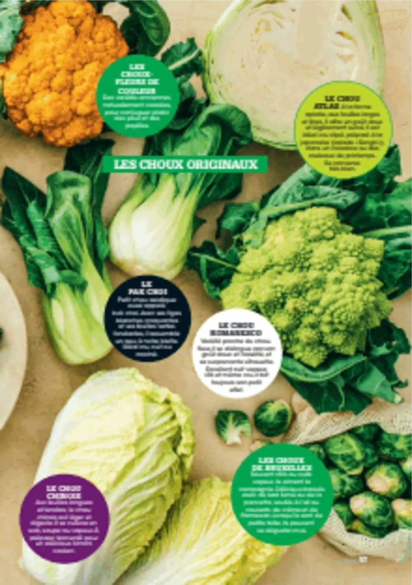 Catalogue Grand Frais du 12 décembre au 20 mars 2026 - Catalogue page 57