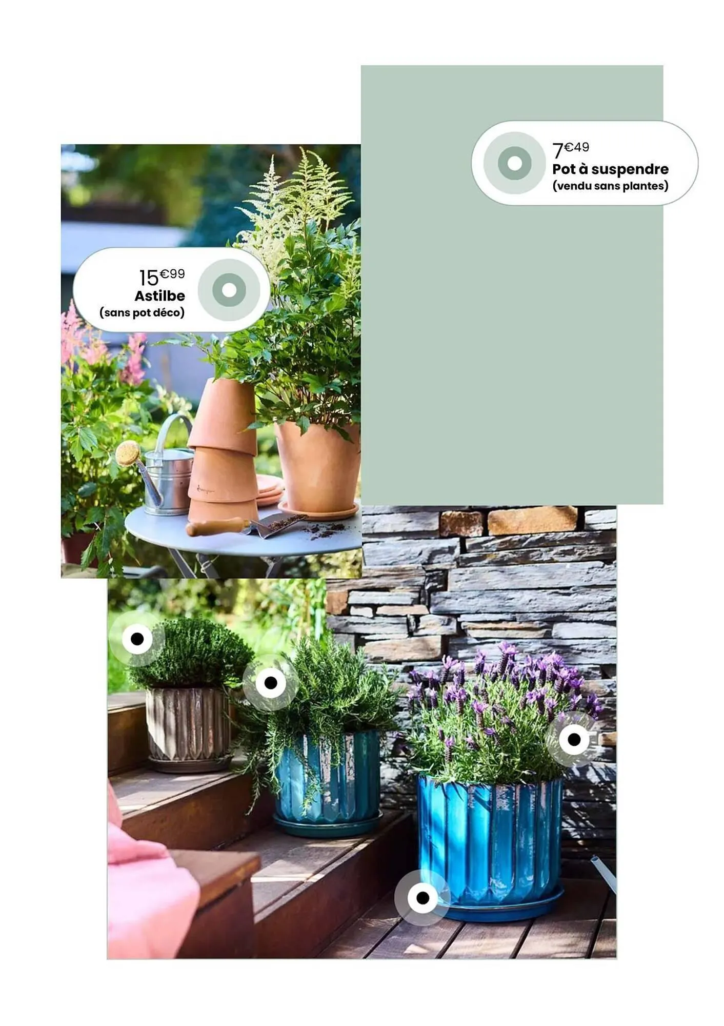 Catalogue Truffaut du 7 avril au 31 mai 2026 - Catalogue page 8