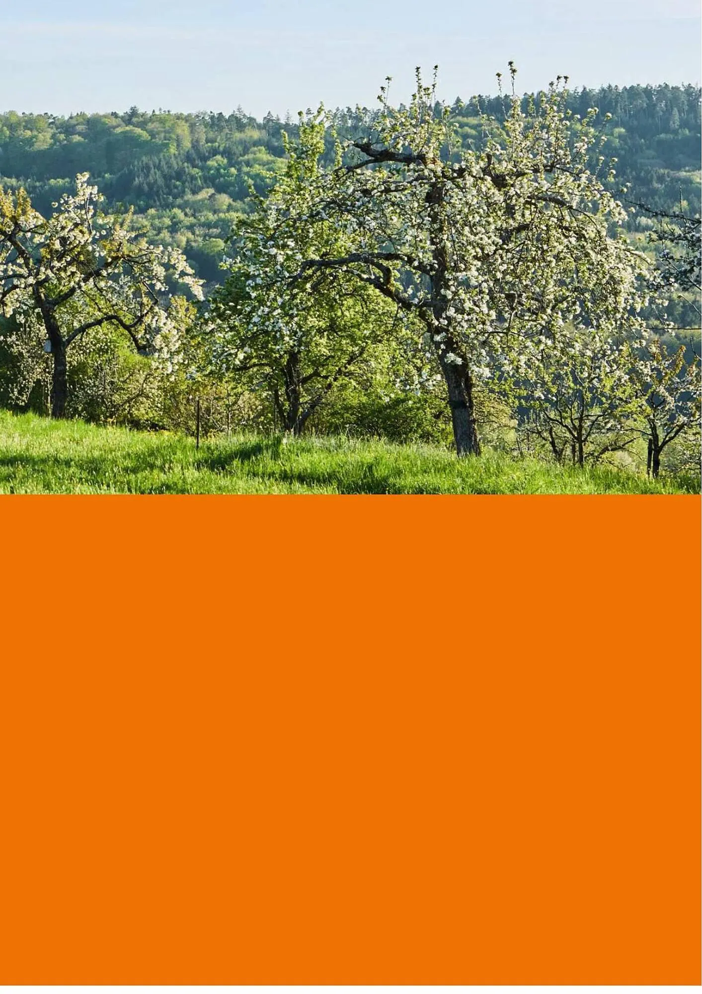 Catalogue Verts Loisirs du 3 août au 31 décembre 2023 - Catalogue page 21