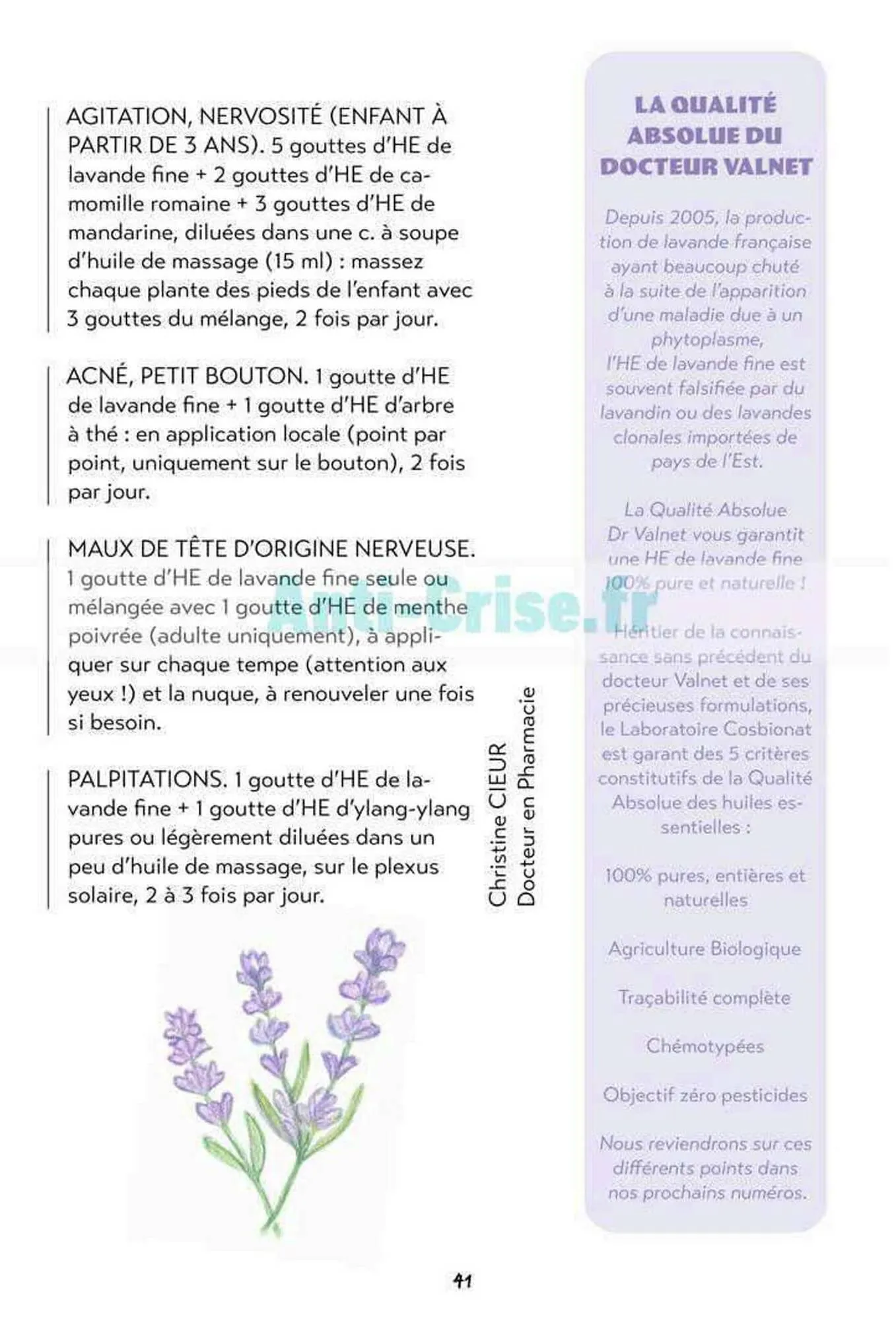 Catalogue Satoriz du 7 mai au 30 juin 2026 - Catalogue page 41