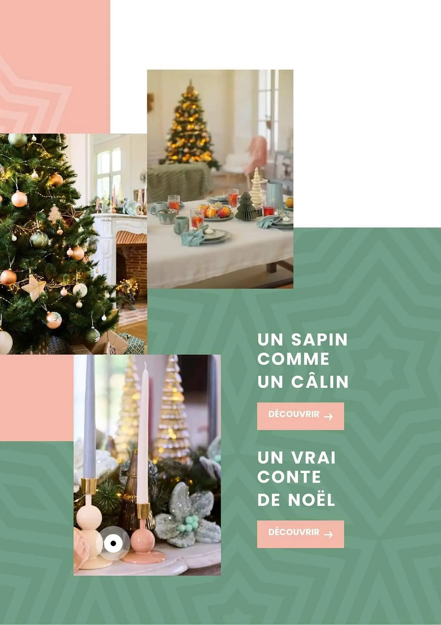 Catalogue Truffaut du 2 décembre au 31 décembre 2025 - Catalogue page 6