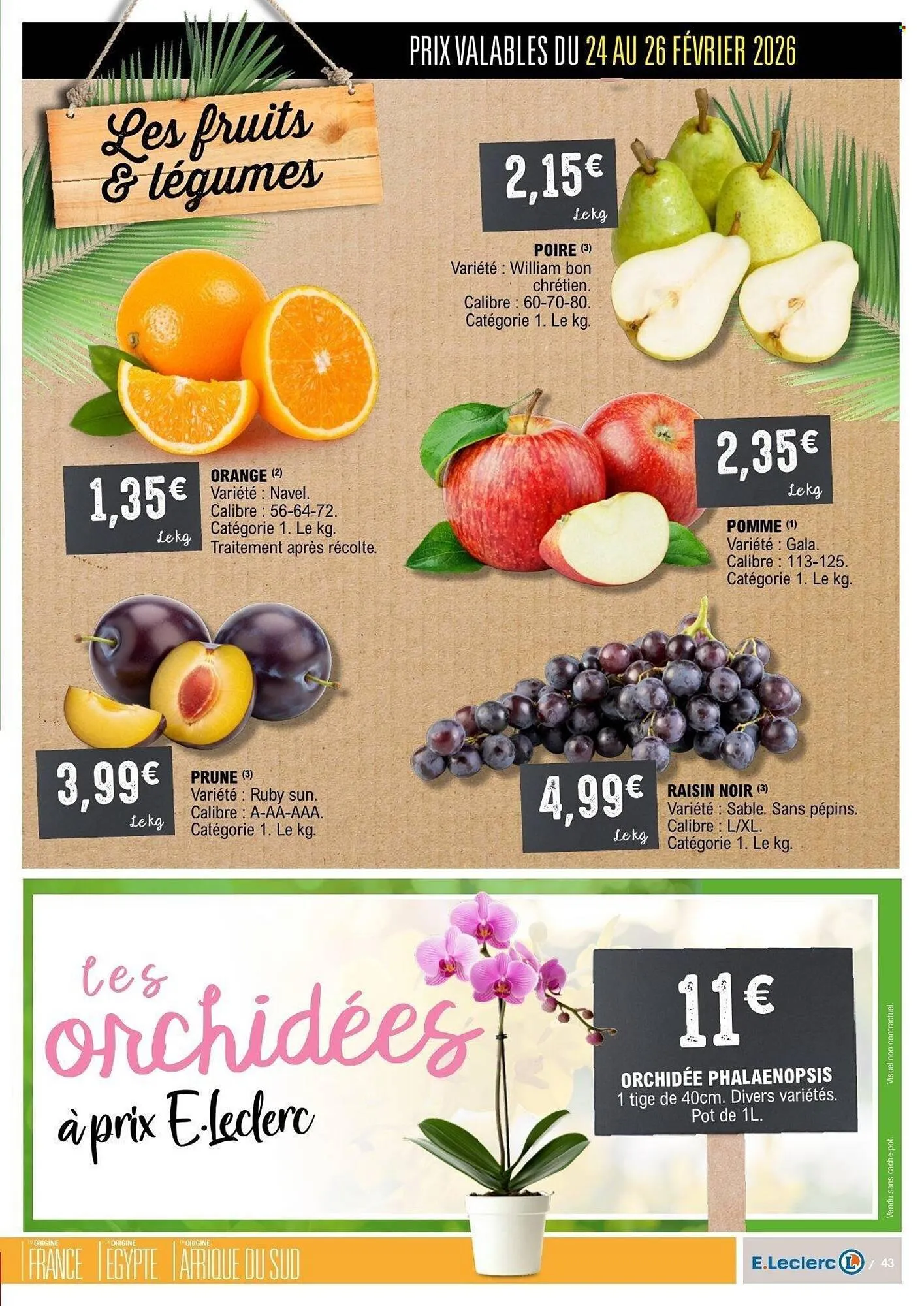 Catalogue E.Leclerc du 24 février au 8 mars 2026 - Catalogue page 43
