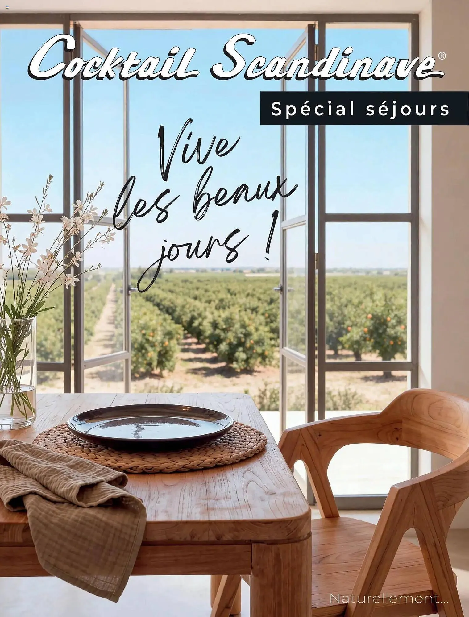 Catalogue Cocktail Scandinave du 26 avril au 1 août 2026 - Catalogue page 1