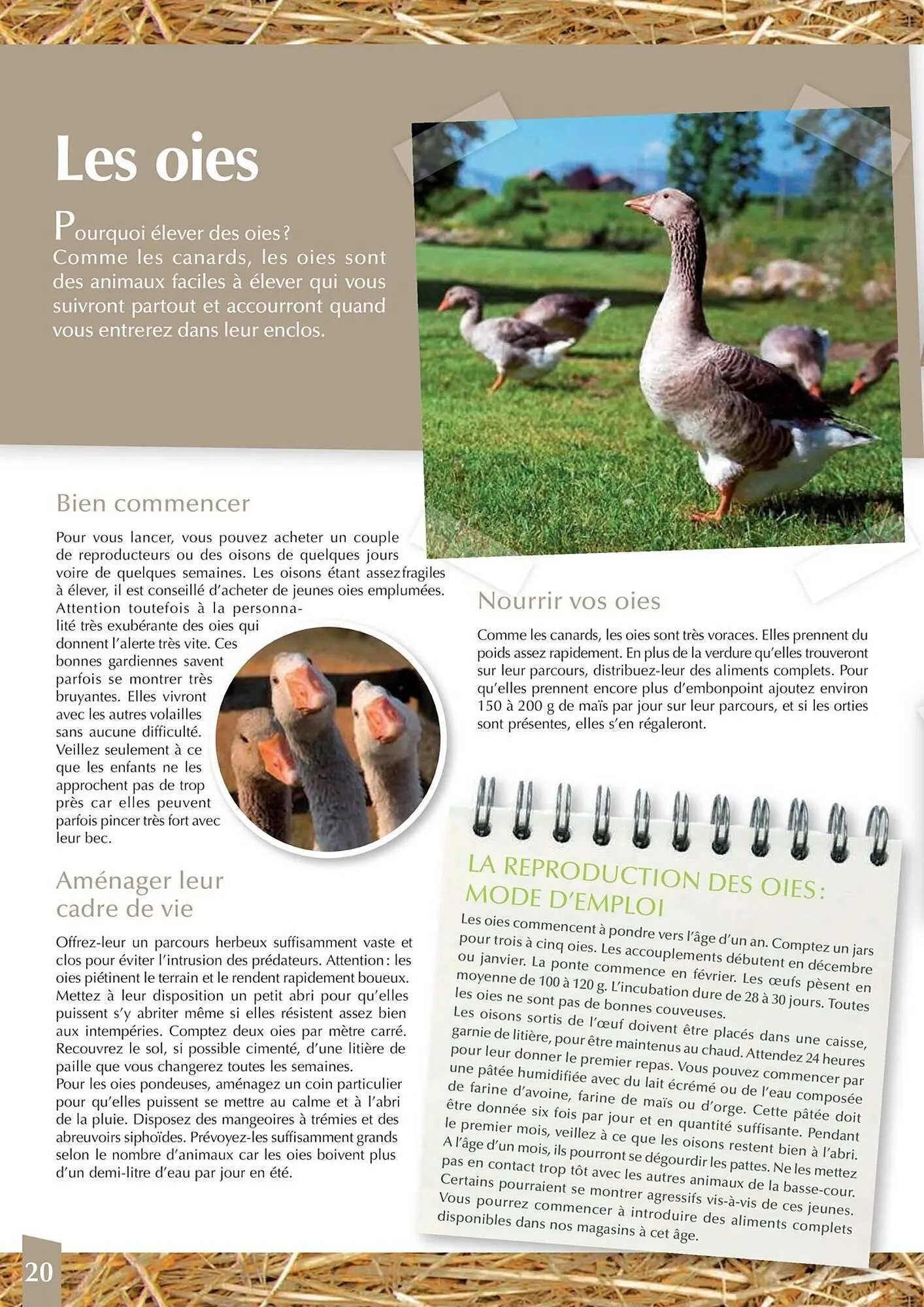 Catalogue Point Vert du 30 avril au 31 décembre 2025 - Catalogue page 20