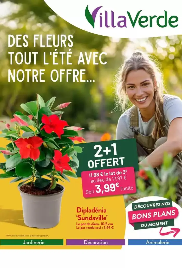 Des fleurs tout lété avec notre offre... - 1