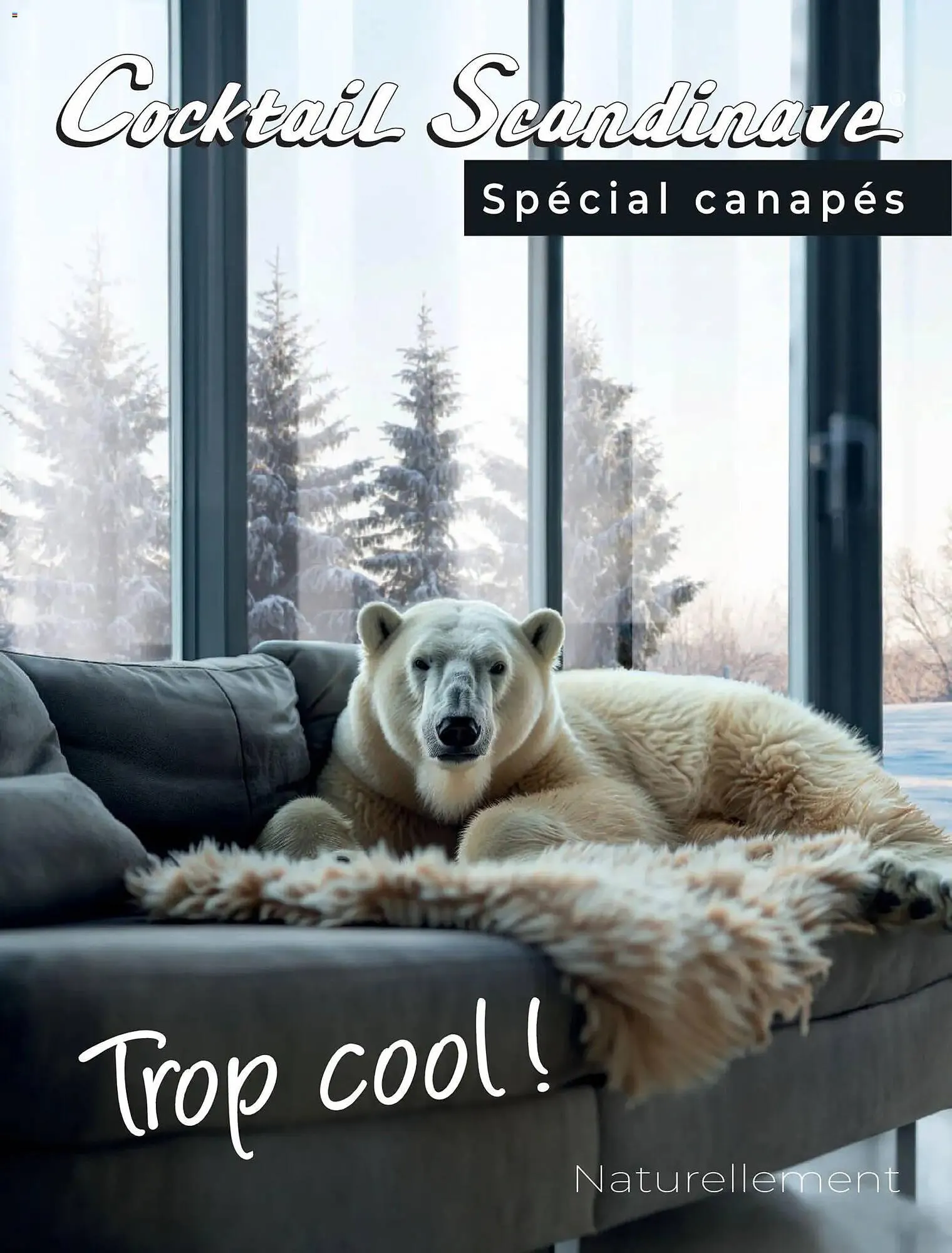 Catalogue Cocktail Scandinave - 1