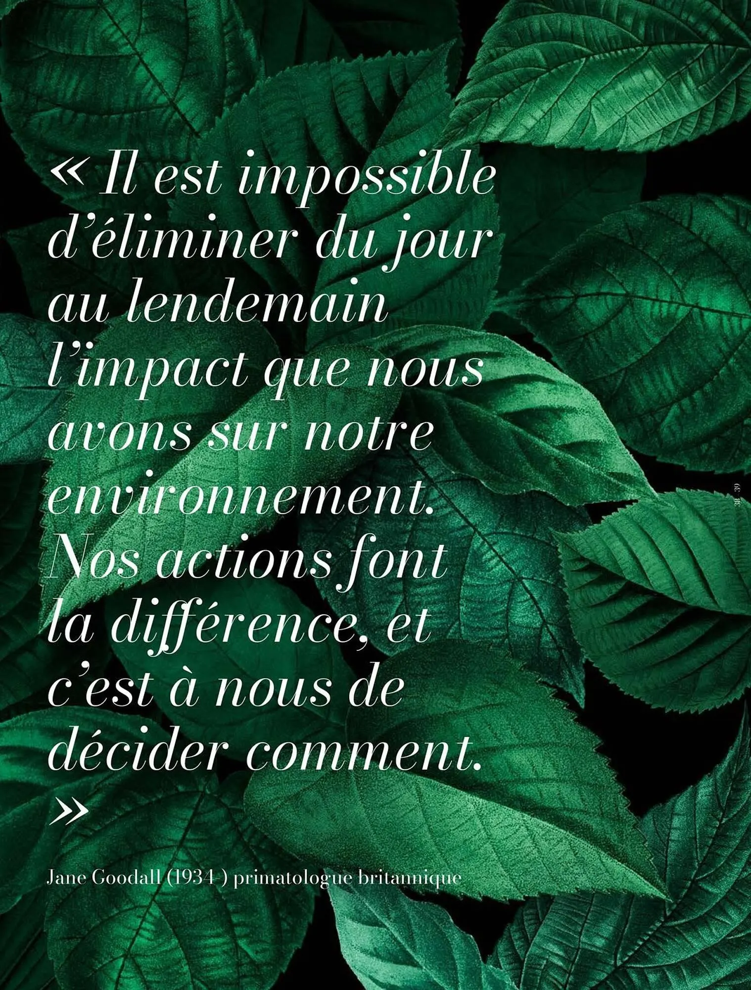 Catalogue Porcelanosa du 2 octobre au 31 décembre 2025 - Catalogue page 41