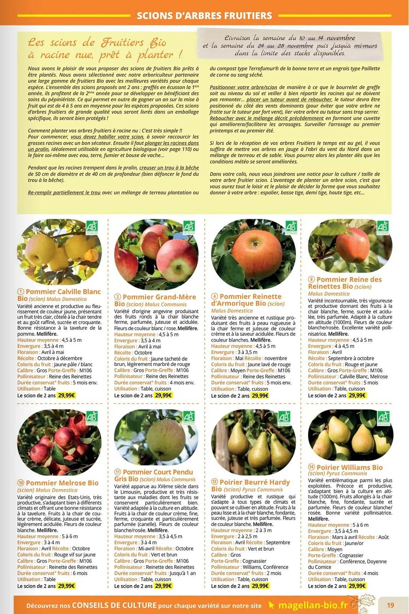 Catalogue Magellan du 1 septembre au 30 novembre 2025 - Catalogue page 19