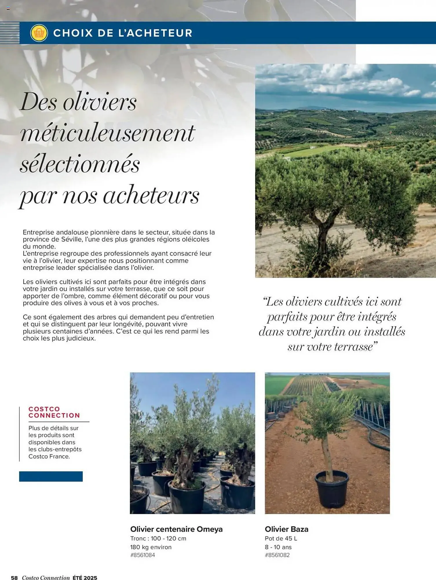 Catalogue Costco du 3 juillet au 30 juillet 2025 - Catalogue page 58