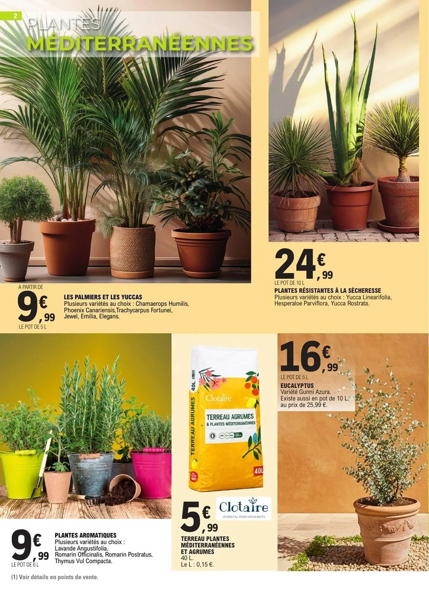 Catalogue E.Leclerc du 10 mars au 21 mars 2026 - Catalogue page 2