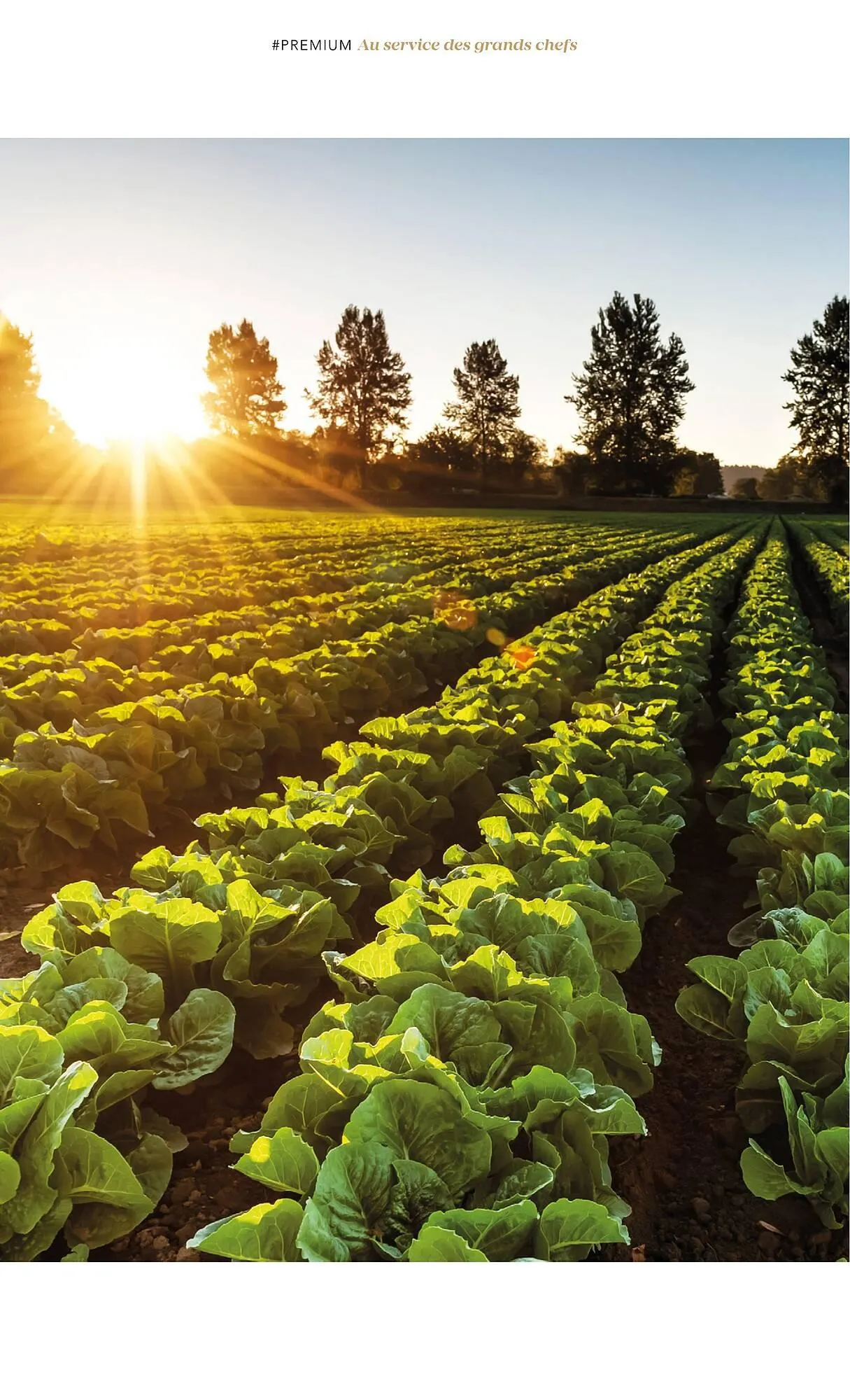 Catalogue METRO du 1 juillet au 31 décembre 2025 - Catalogue page 90