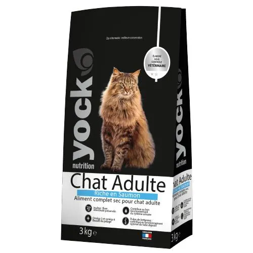 Croquettes chat au saumon