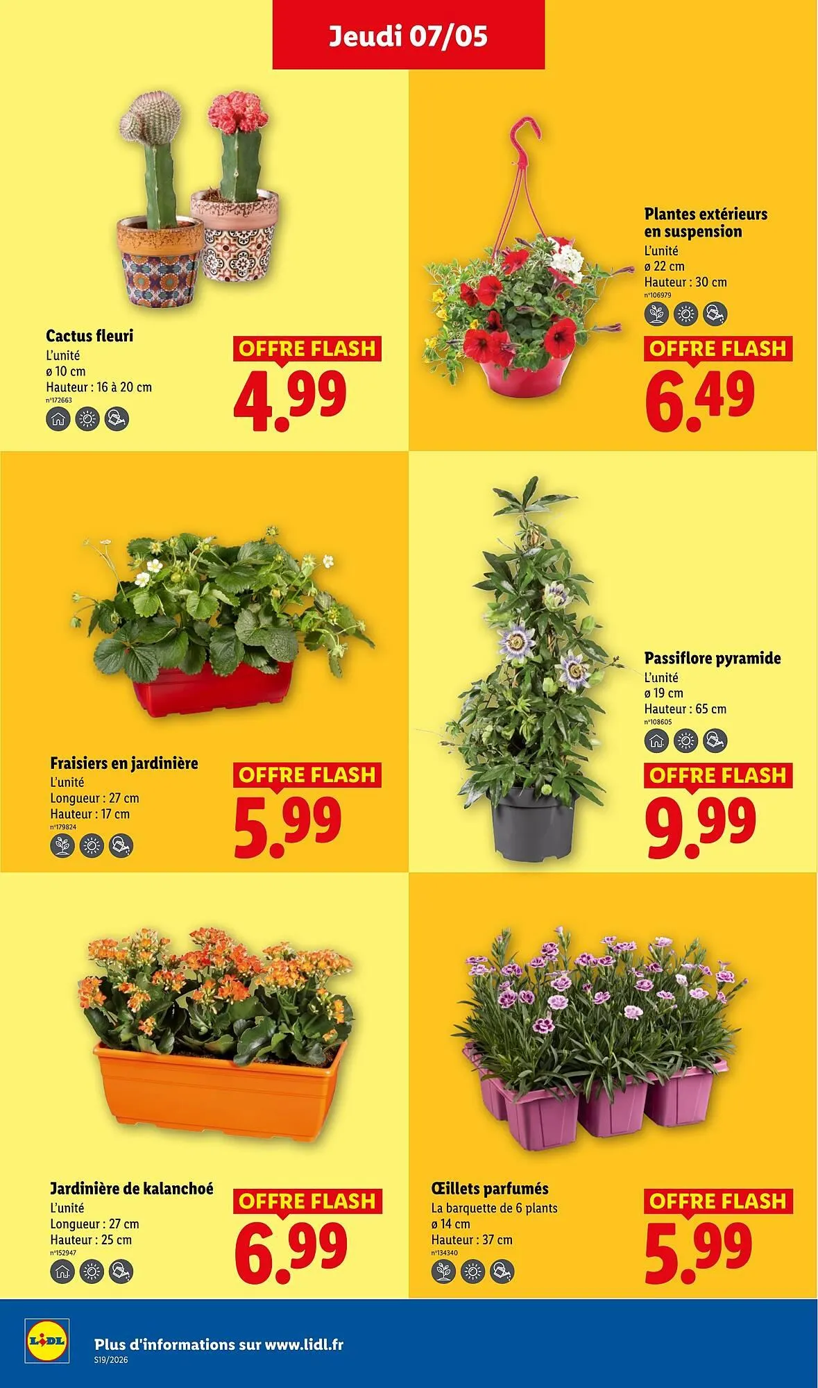 Catalogue Lidl du 7 mai au 13 mai 2026 - Catalogue page 26