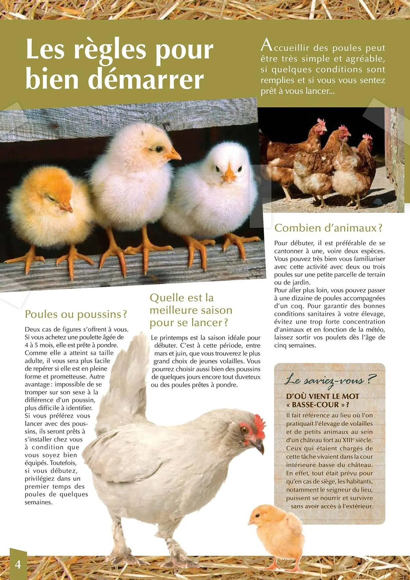 Catalogue Point Vert du 30 avril au 31 décembre 2025 - Catalogue page 4